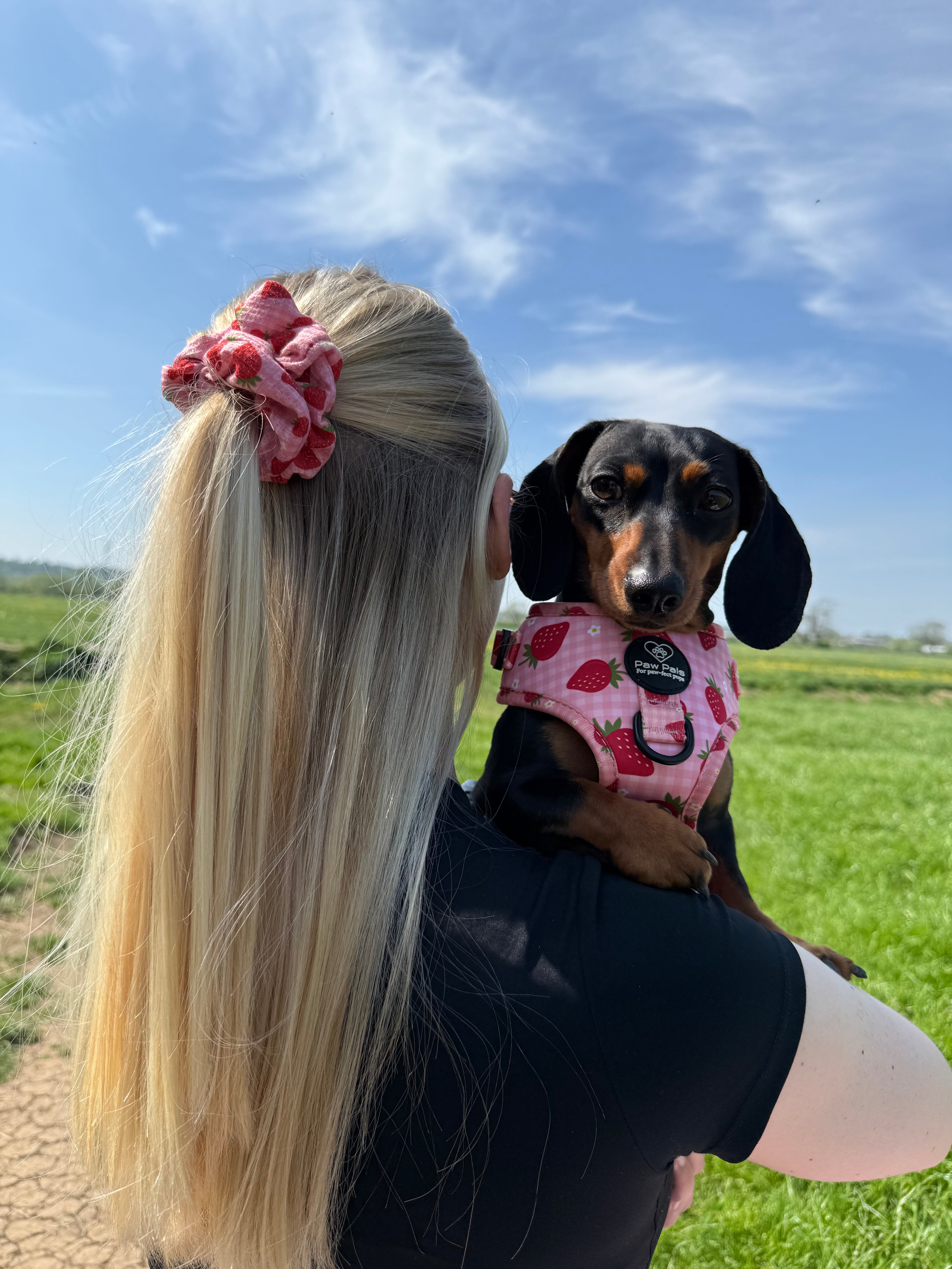 Strawberry Dreams Scrunchie