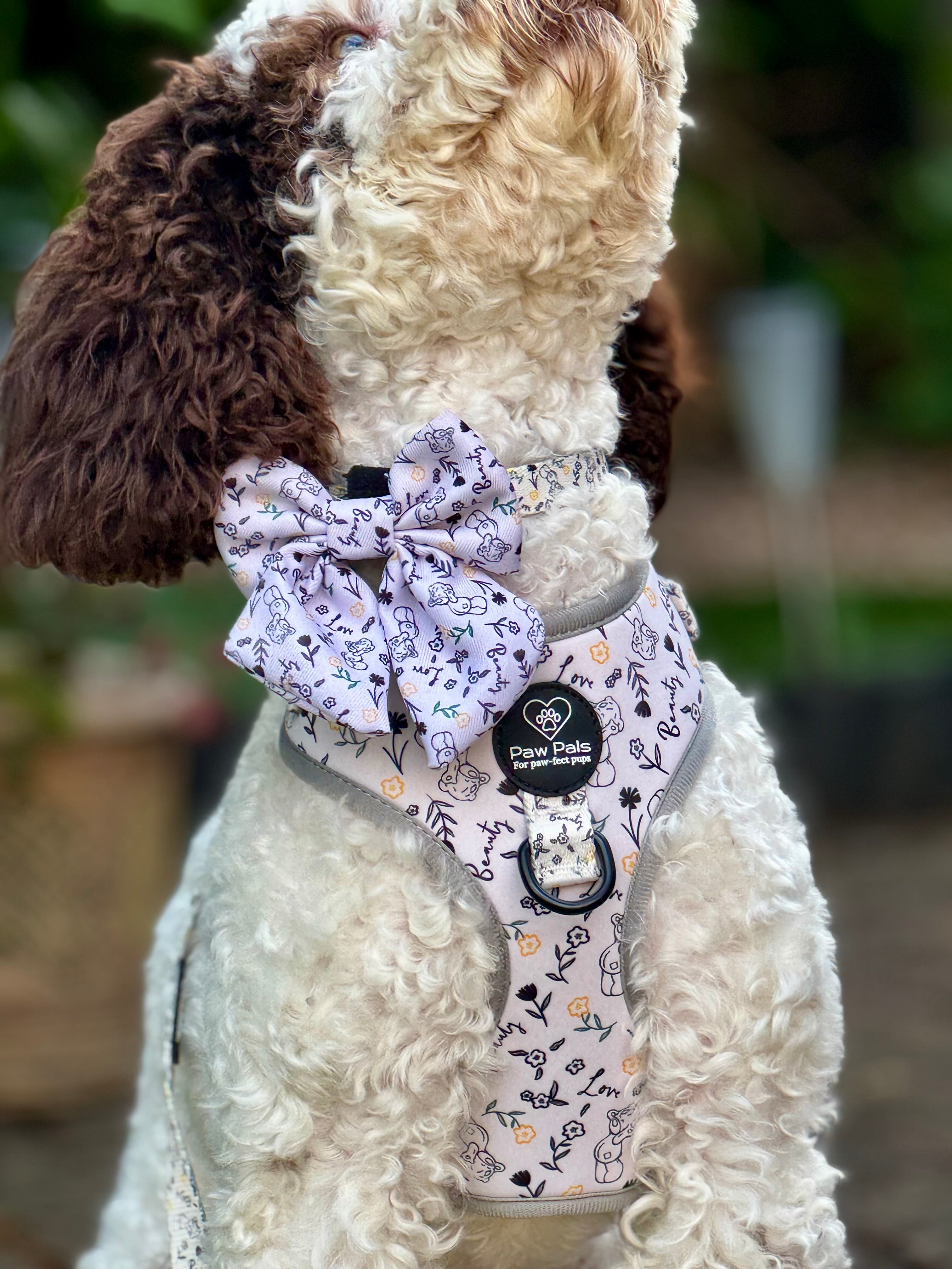 Tatty Teddy Springs Bow
