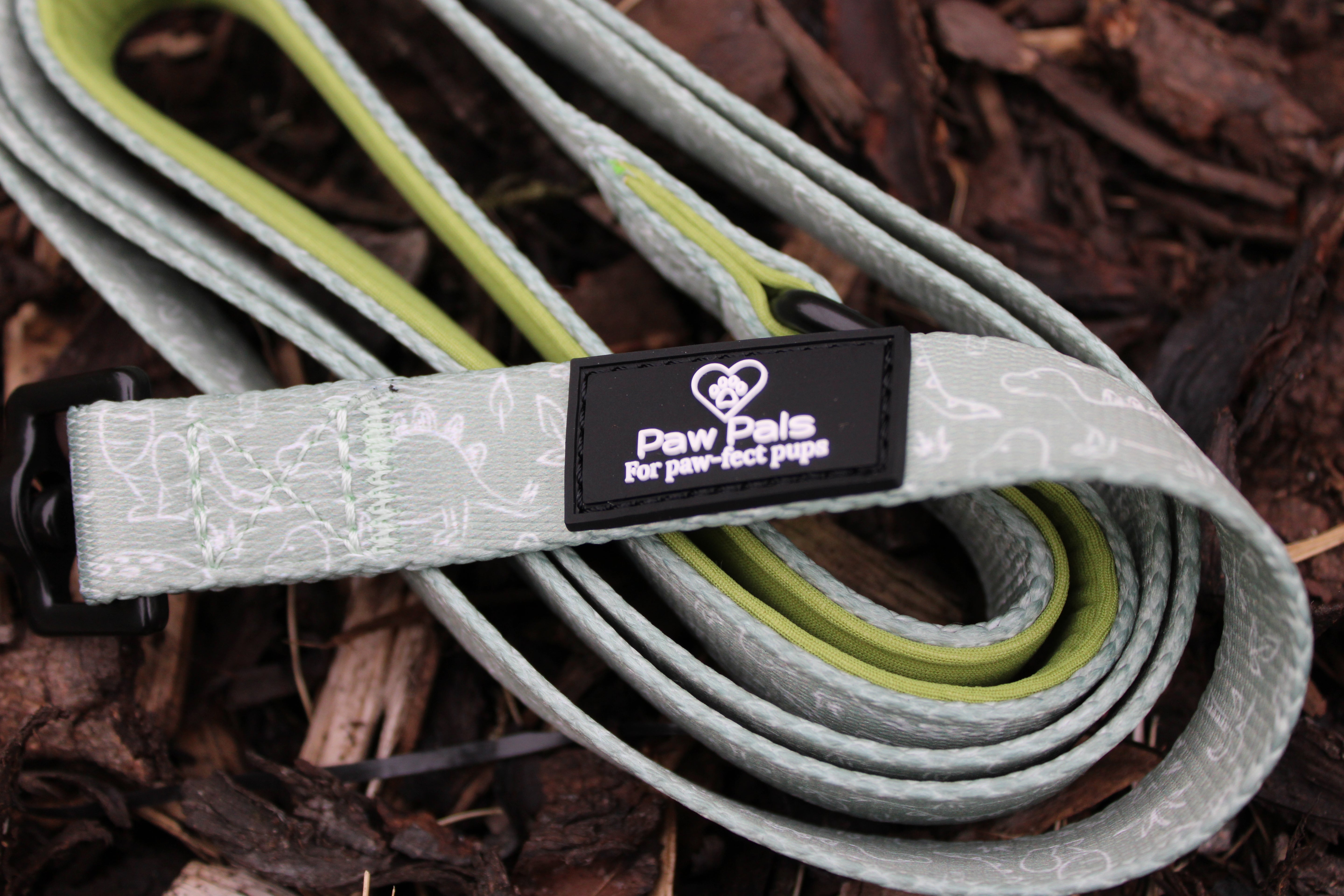 Dino Paws Leash