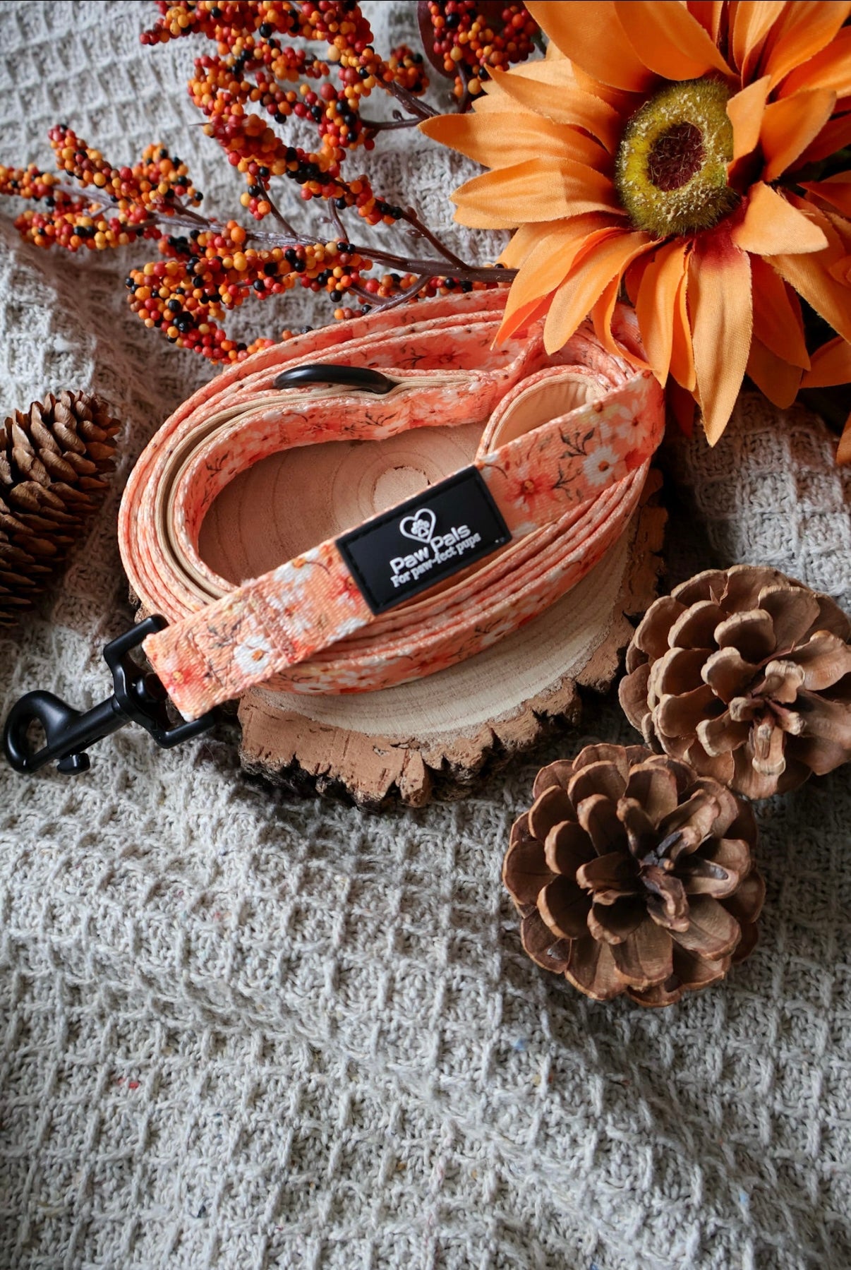 Maple Meadows Leash