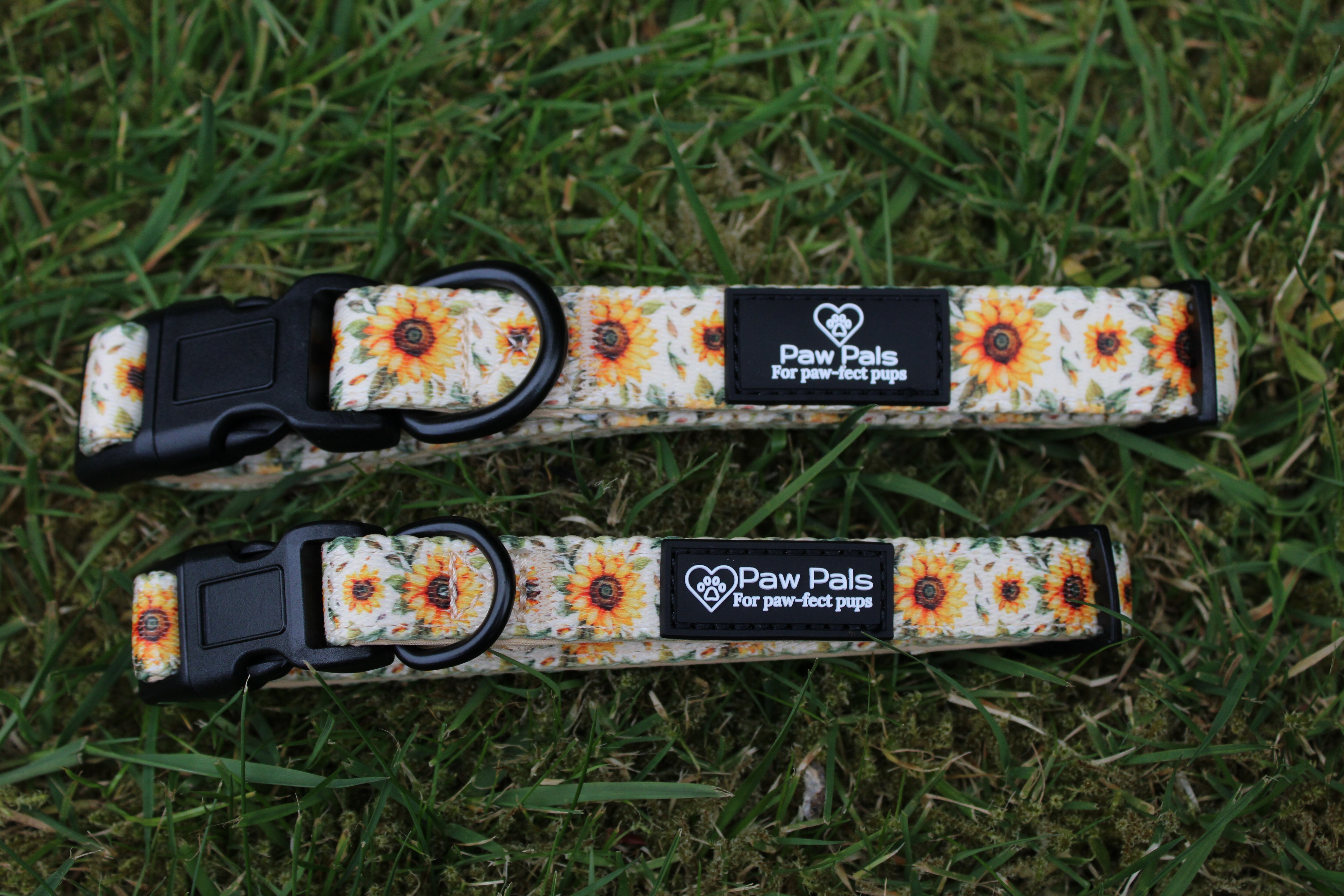 You’re My Sunflower Collar