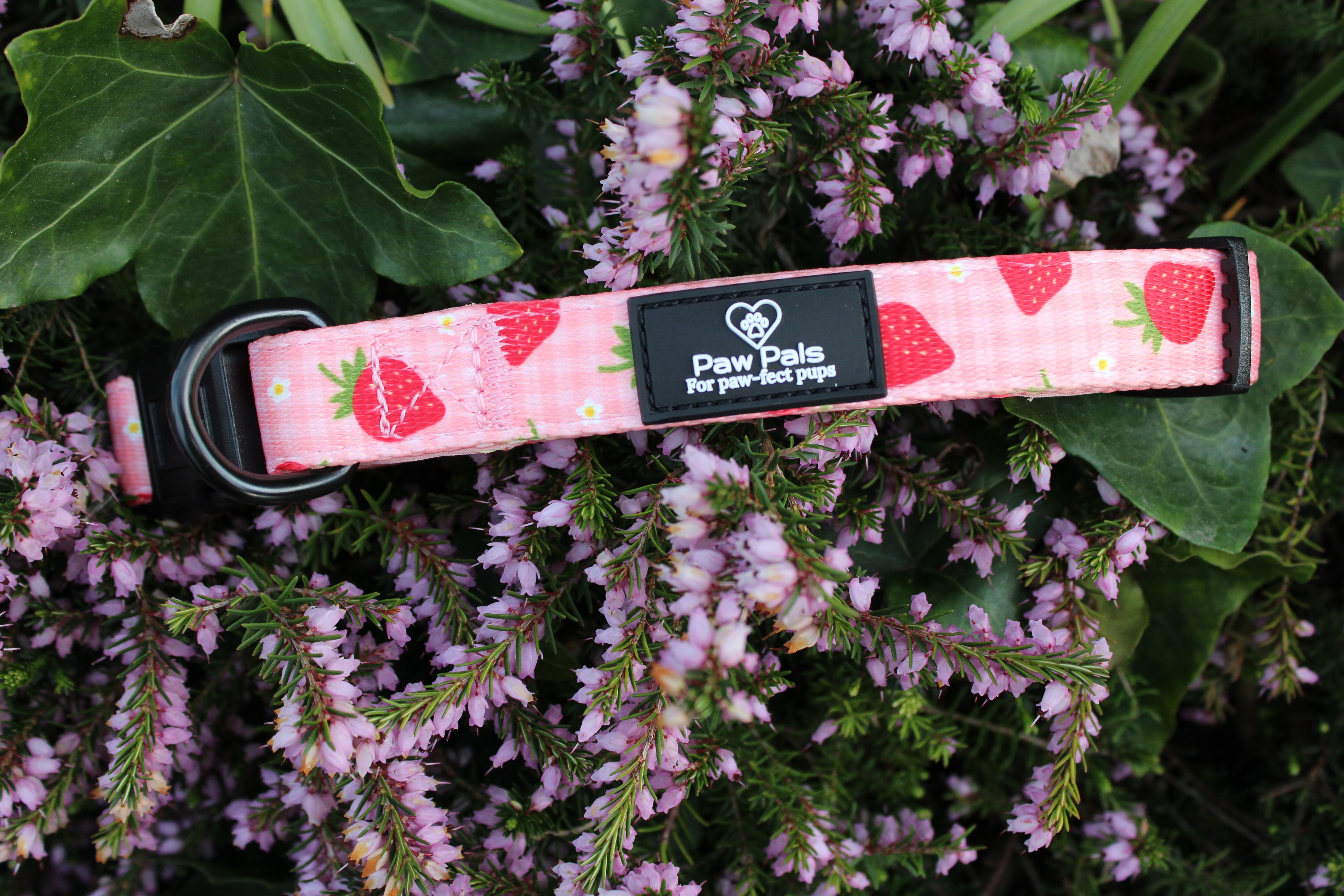 Strawberry Dreams Collar