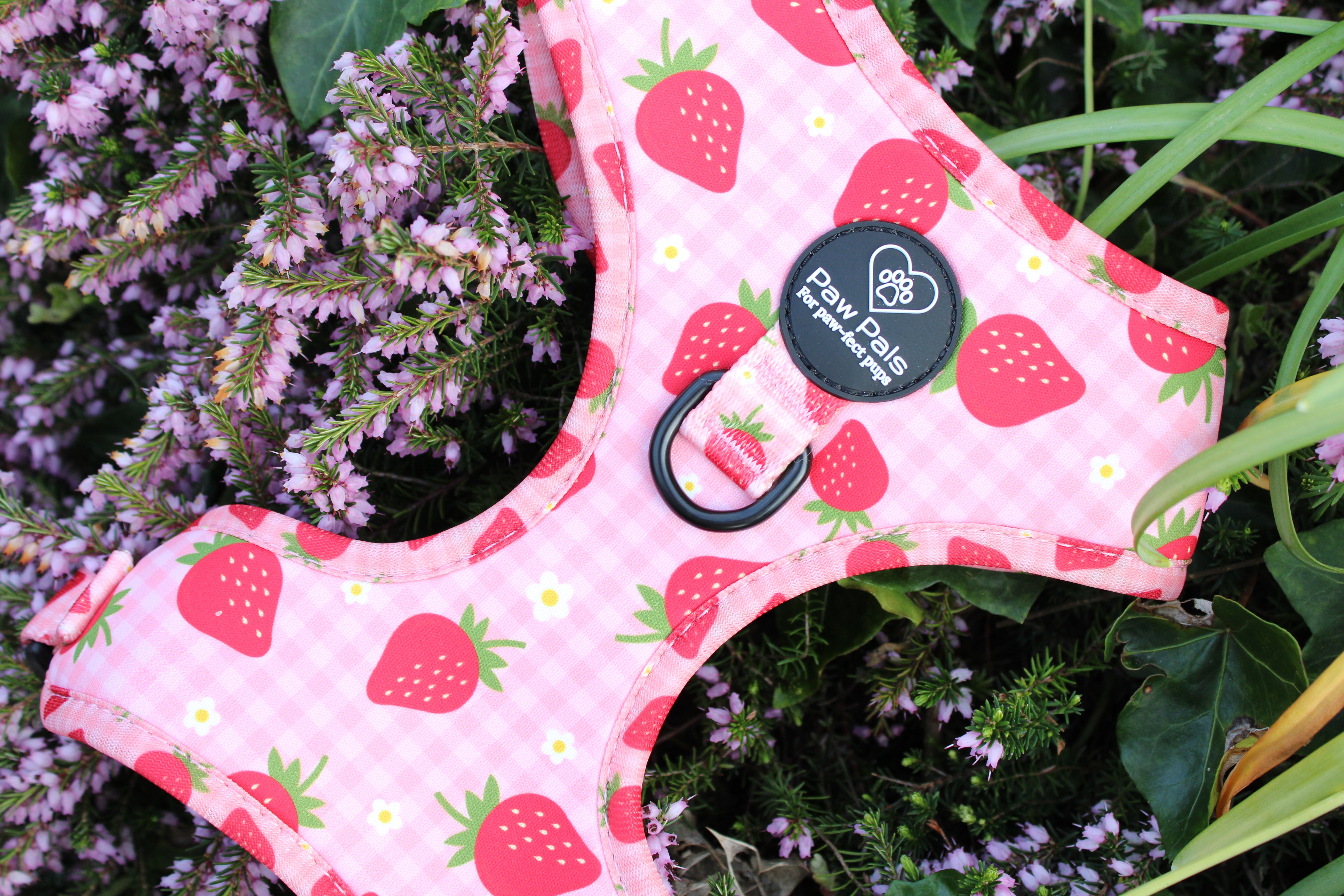 Strawberry Dreams Harness