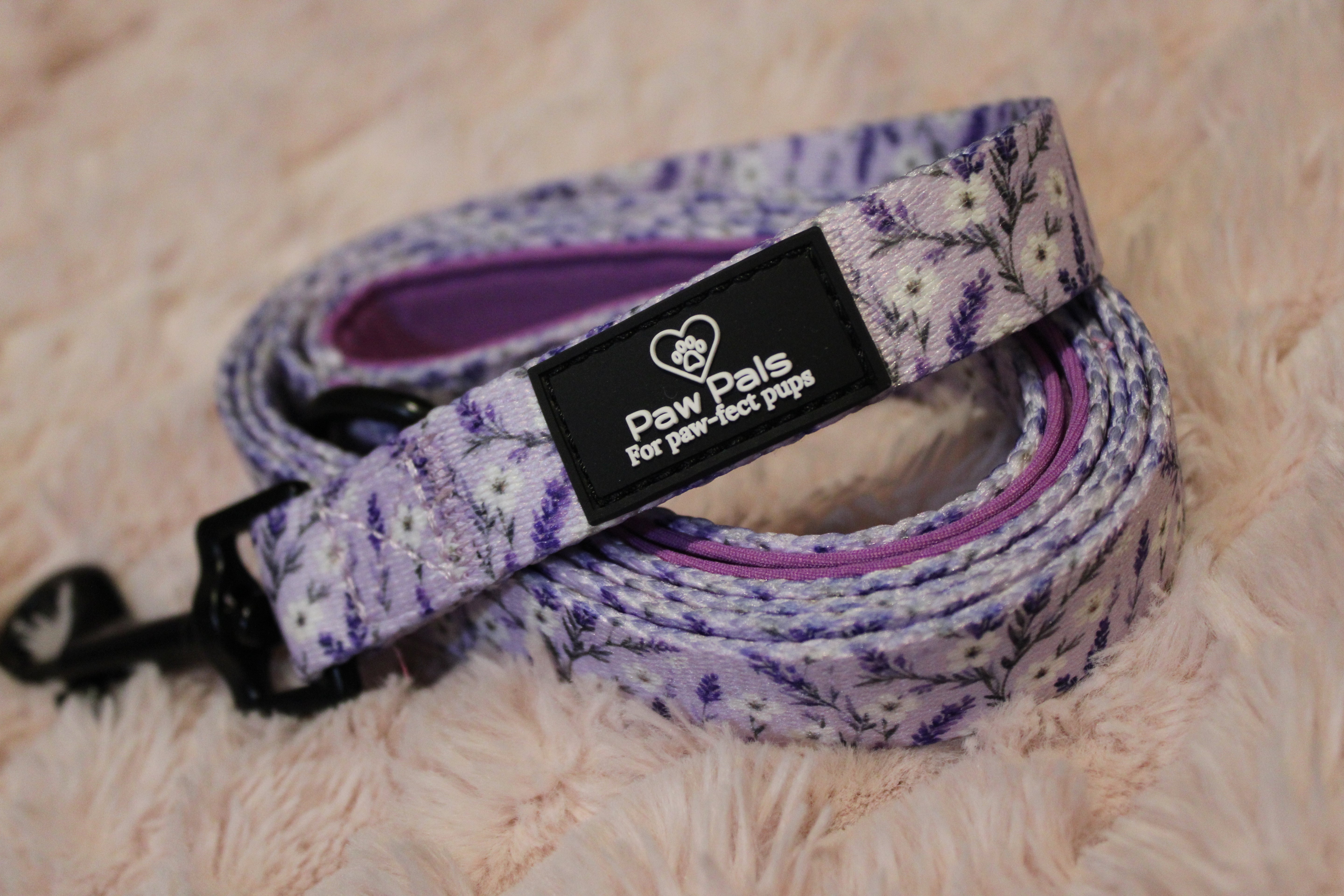 Lavender Fields Leash