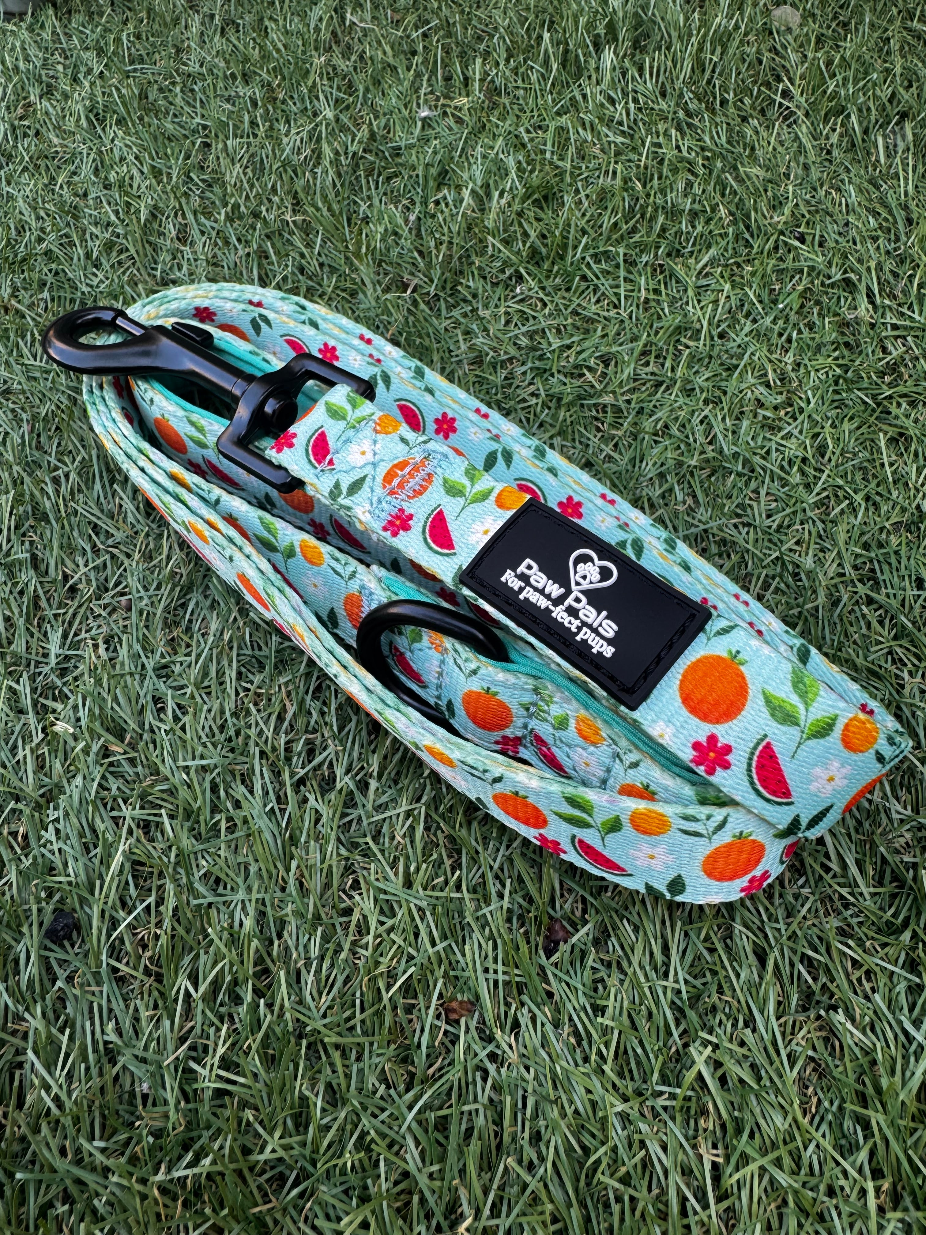 Tutti Frutti Leash