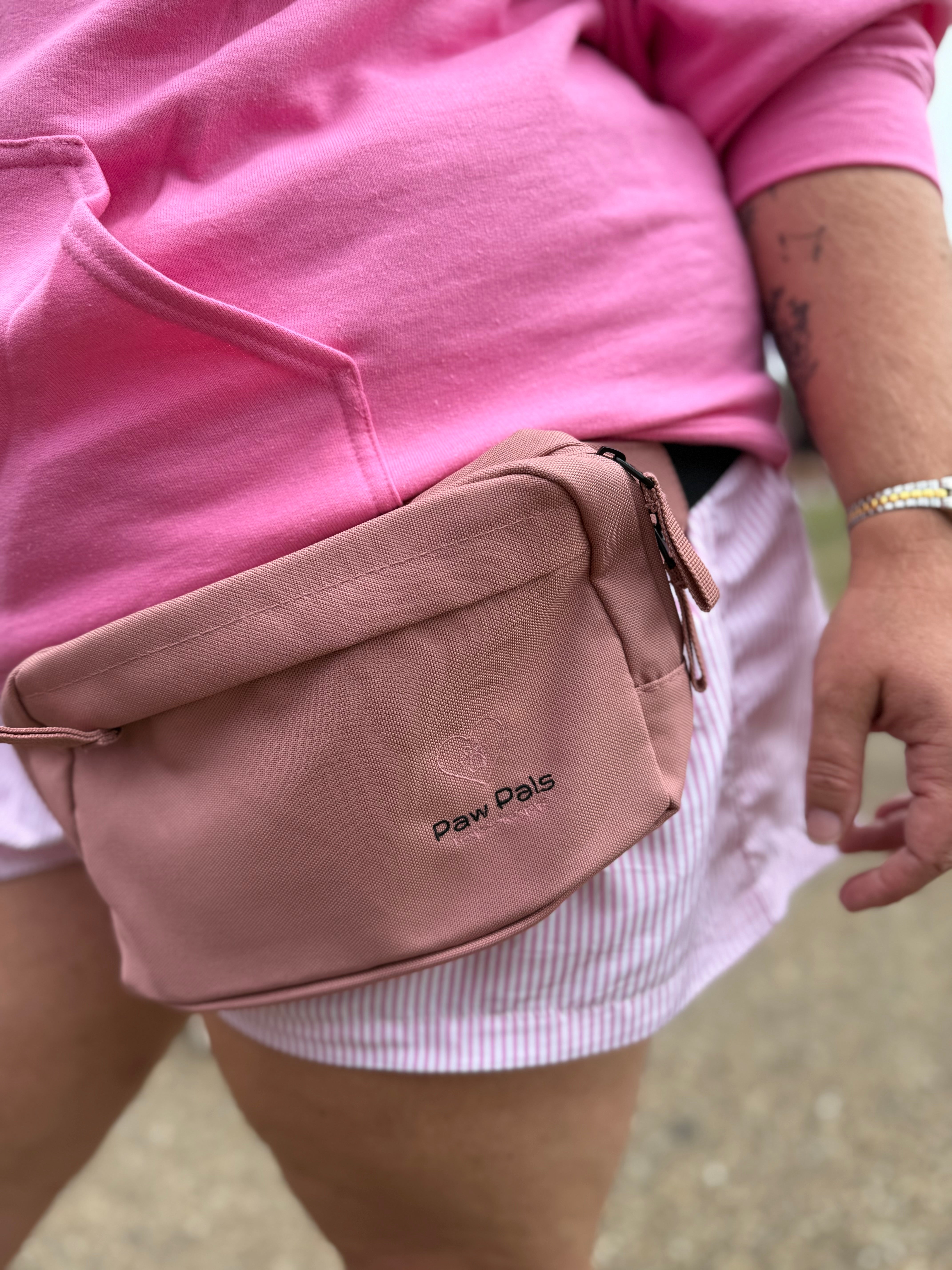 Dog Walking Bum Bag