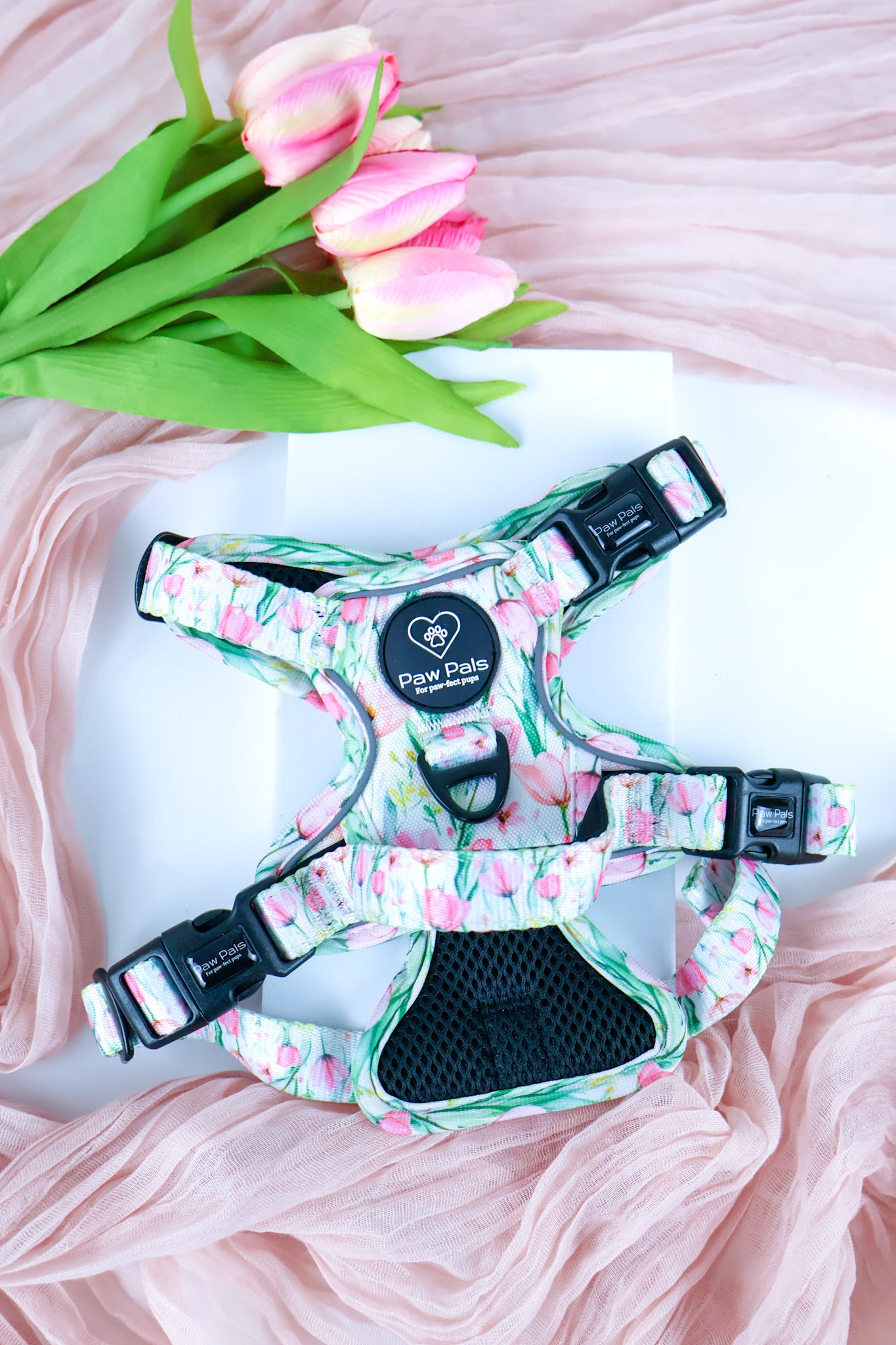 Tulip Trails PawpalsPro