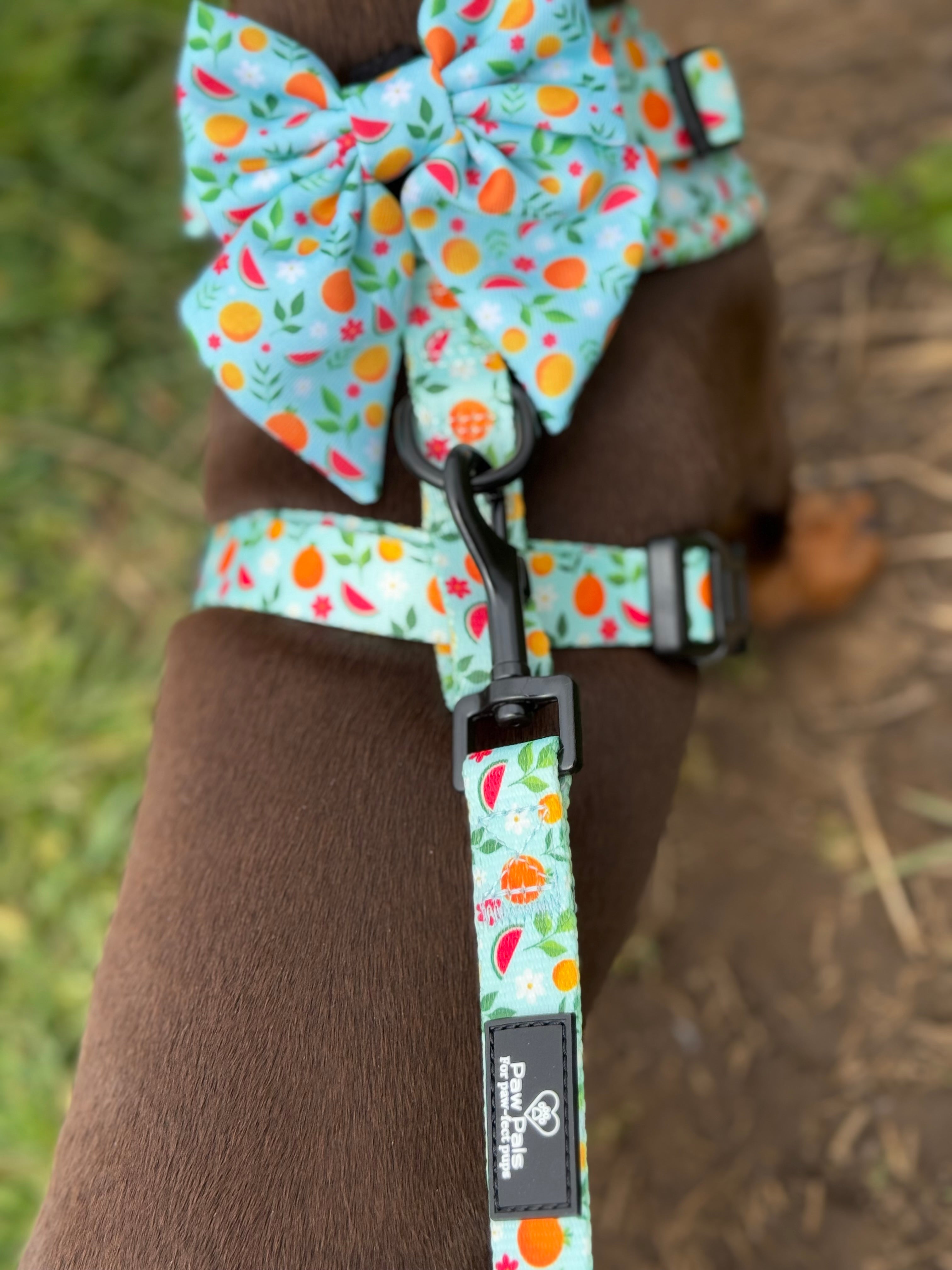 Tutti Frutti Leash