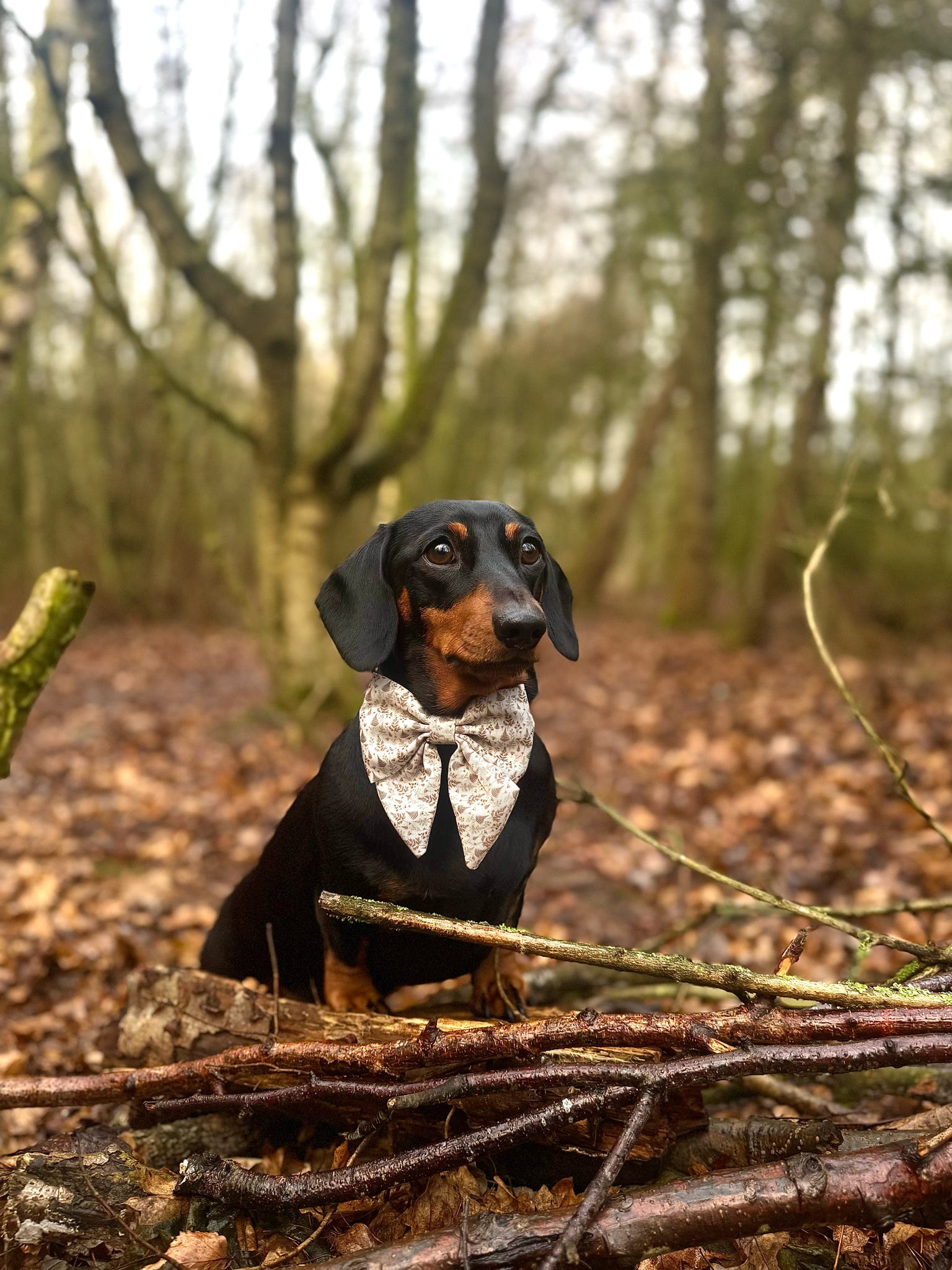 Woodland Willows Sailor Bow