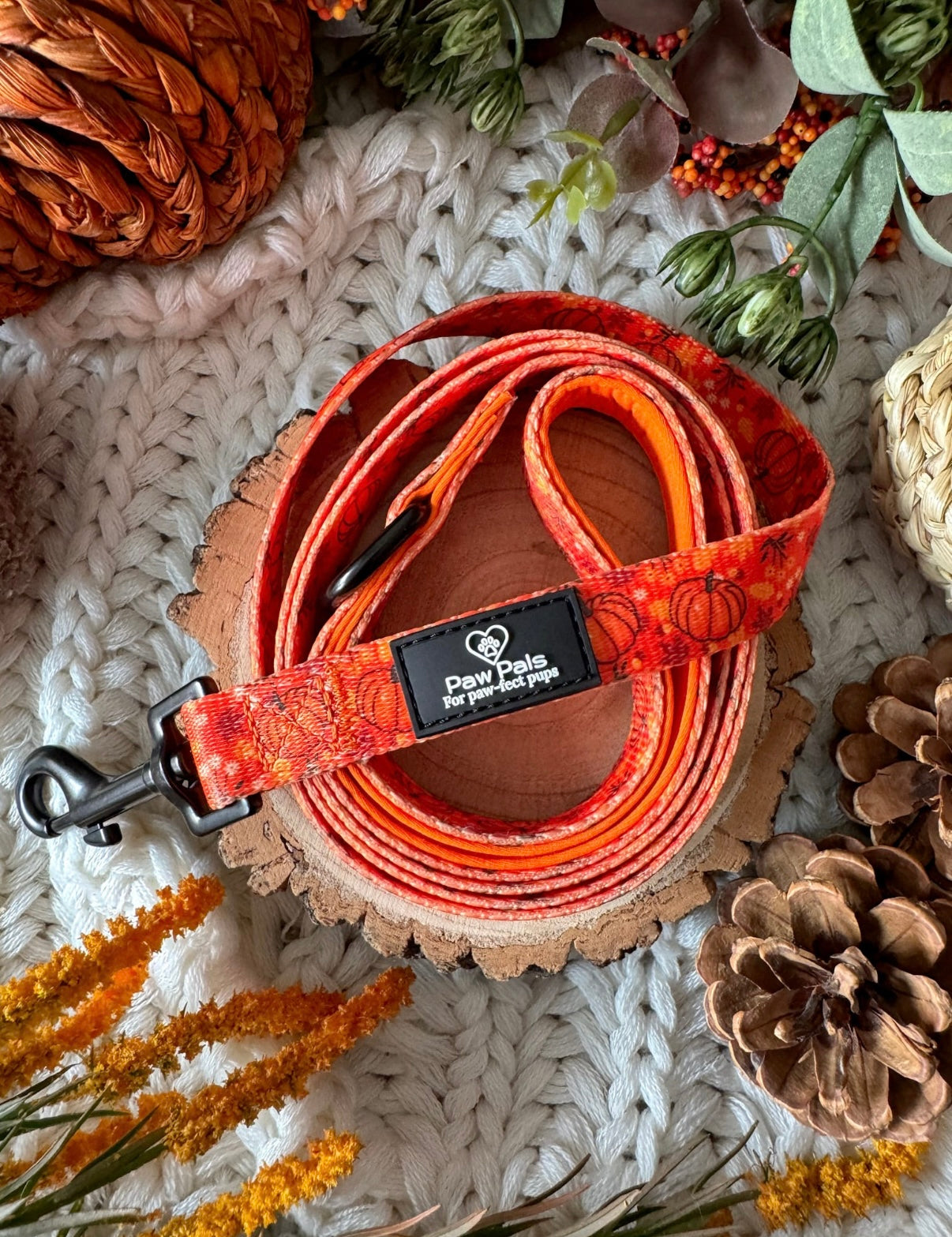 Pumpkin Spice Leash