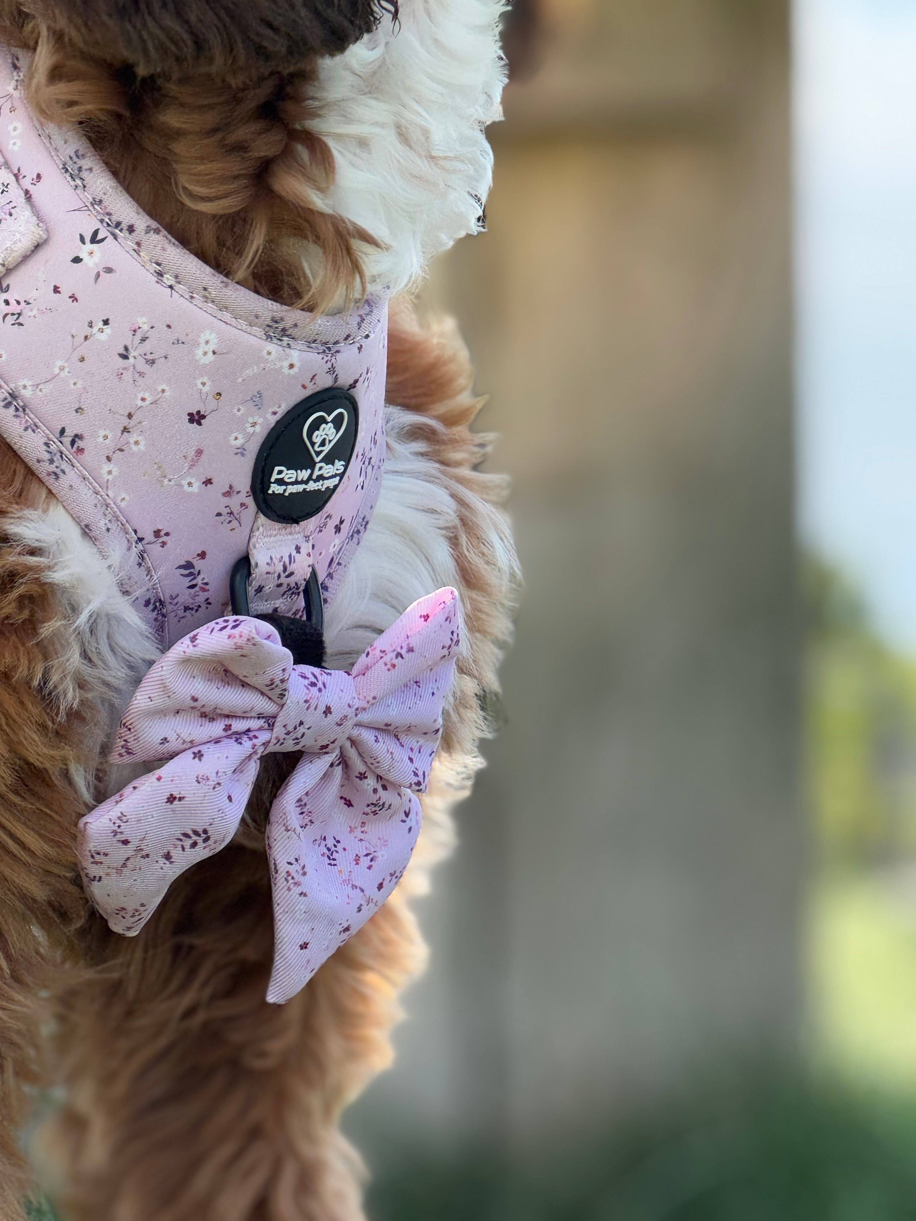 Blush & Bloom Harness