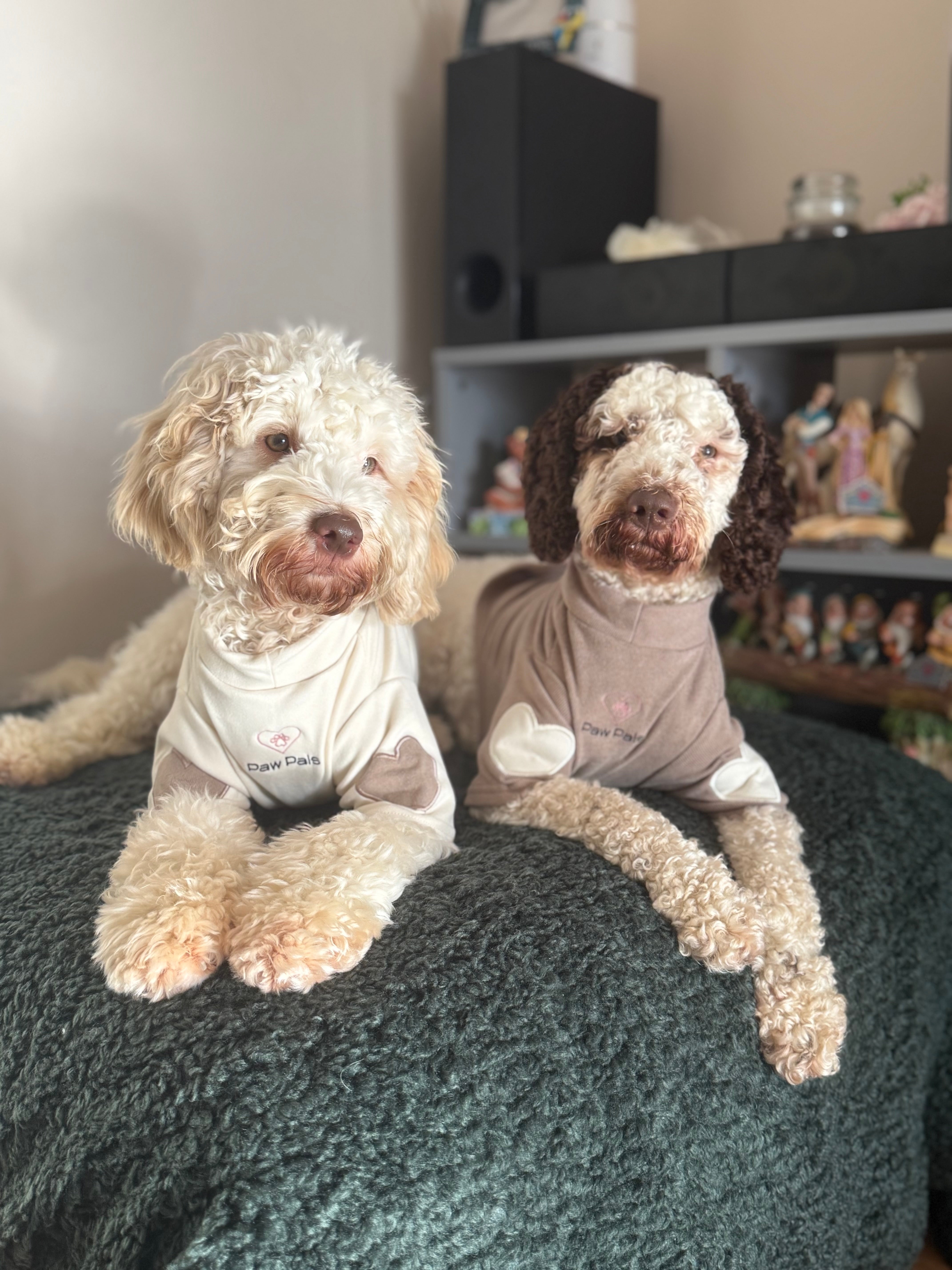 Puppy Love Mocha Jumper