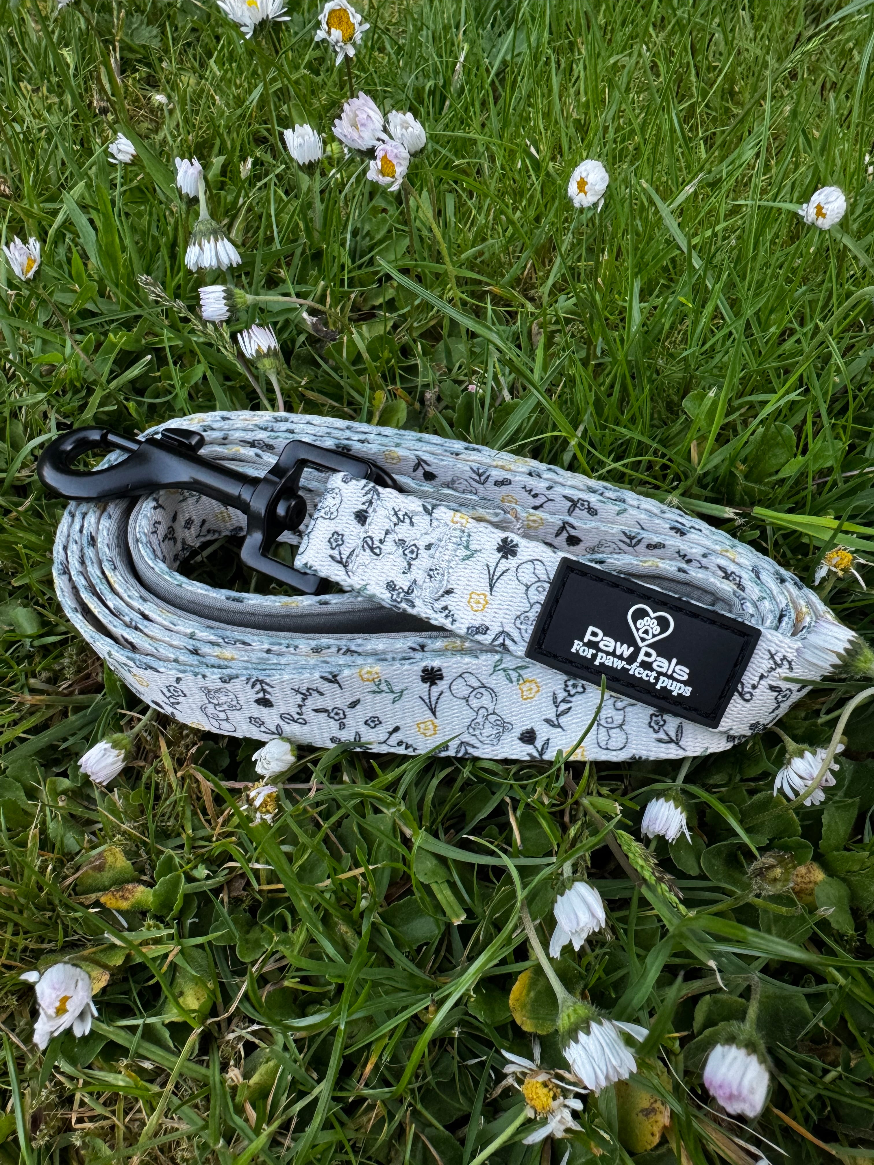 Tatty Teddy Springs Leash