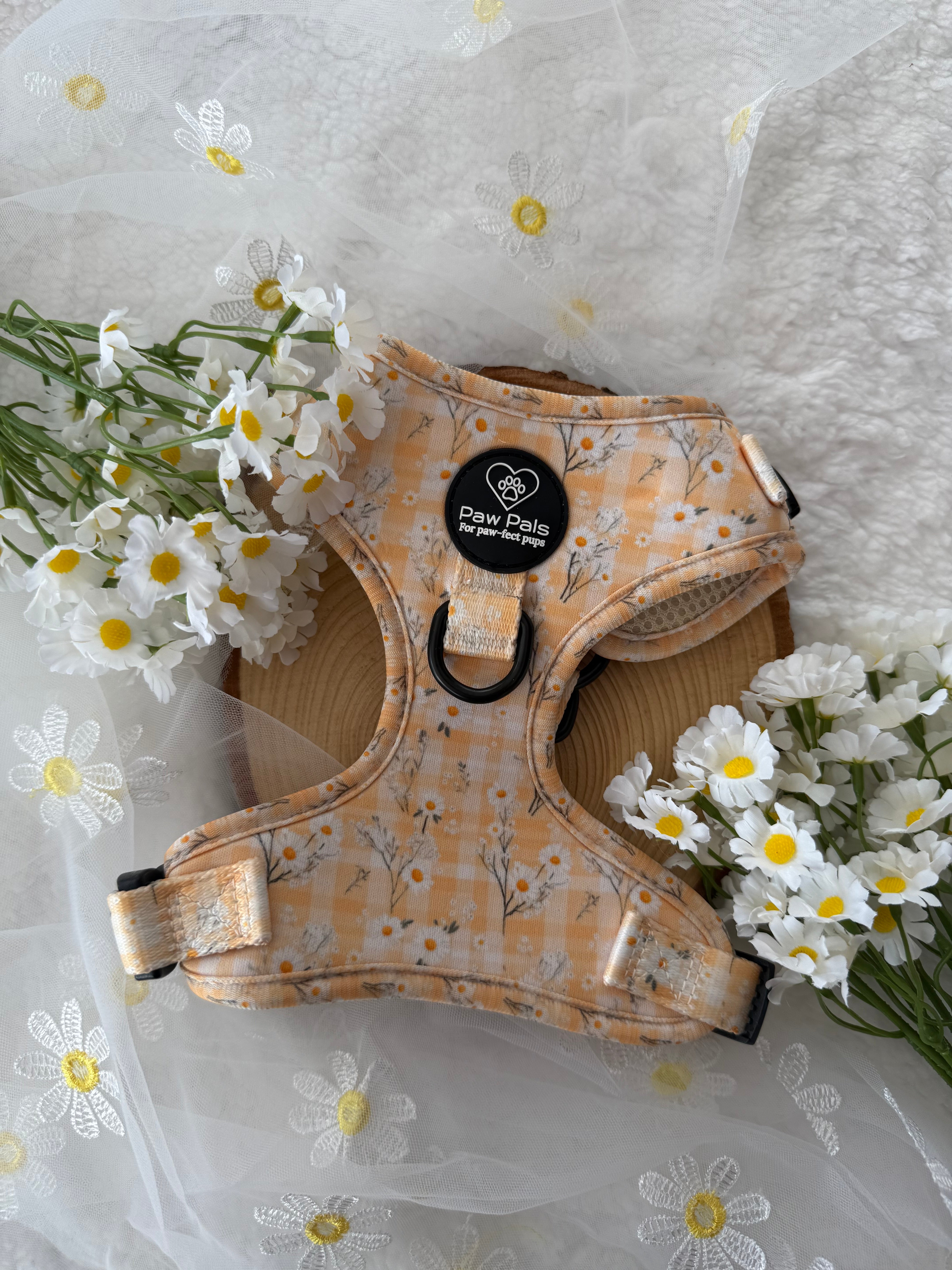 Daisy Dreams Harness