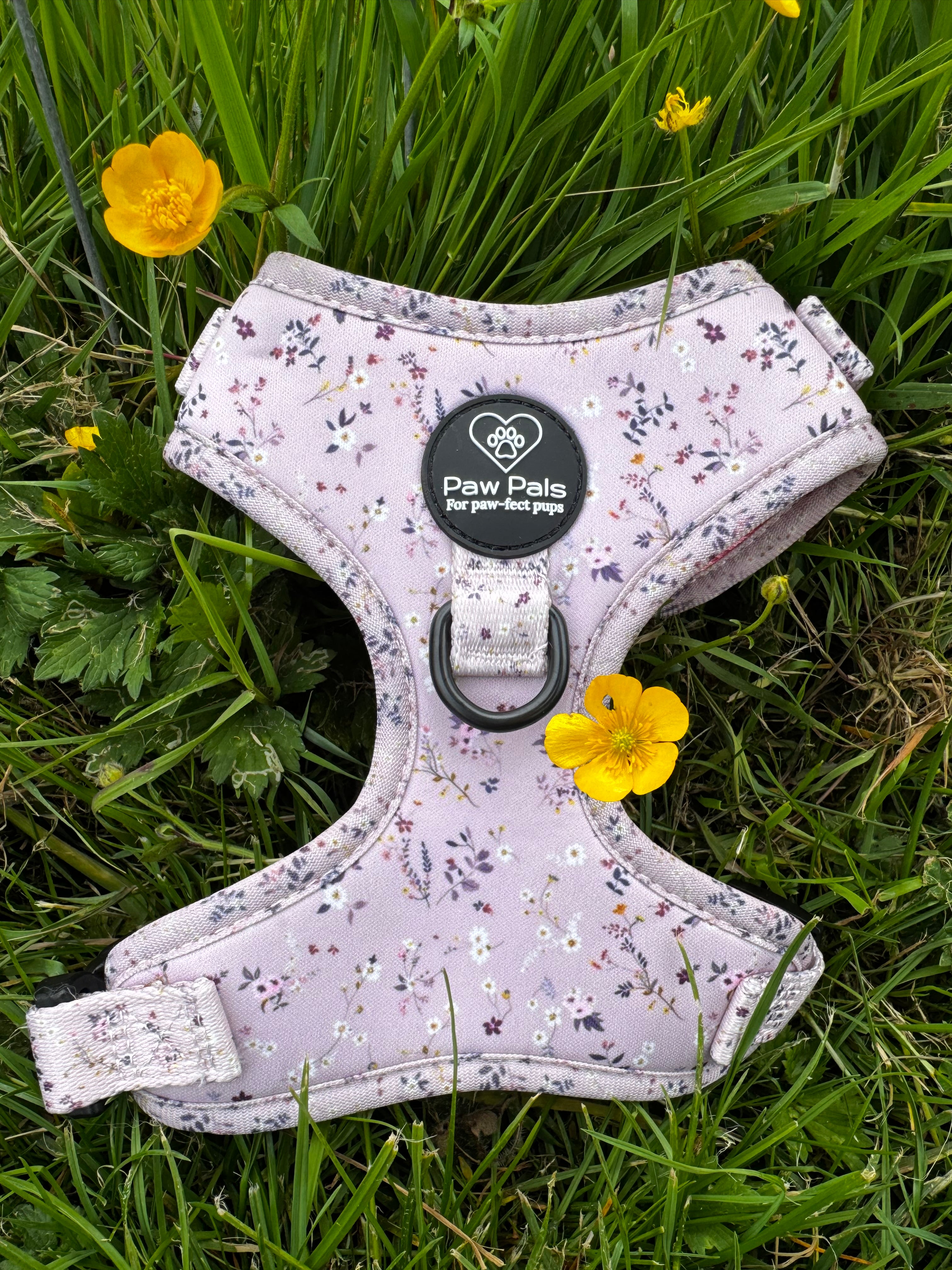 Blush & Bloom Harness