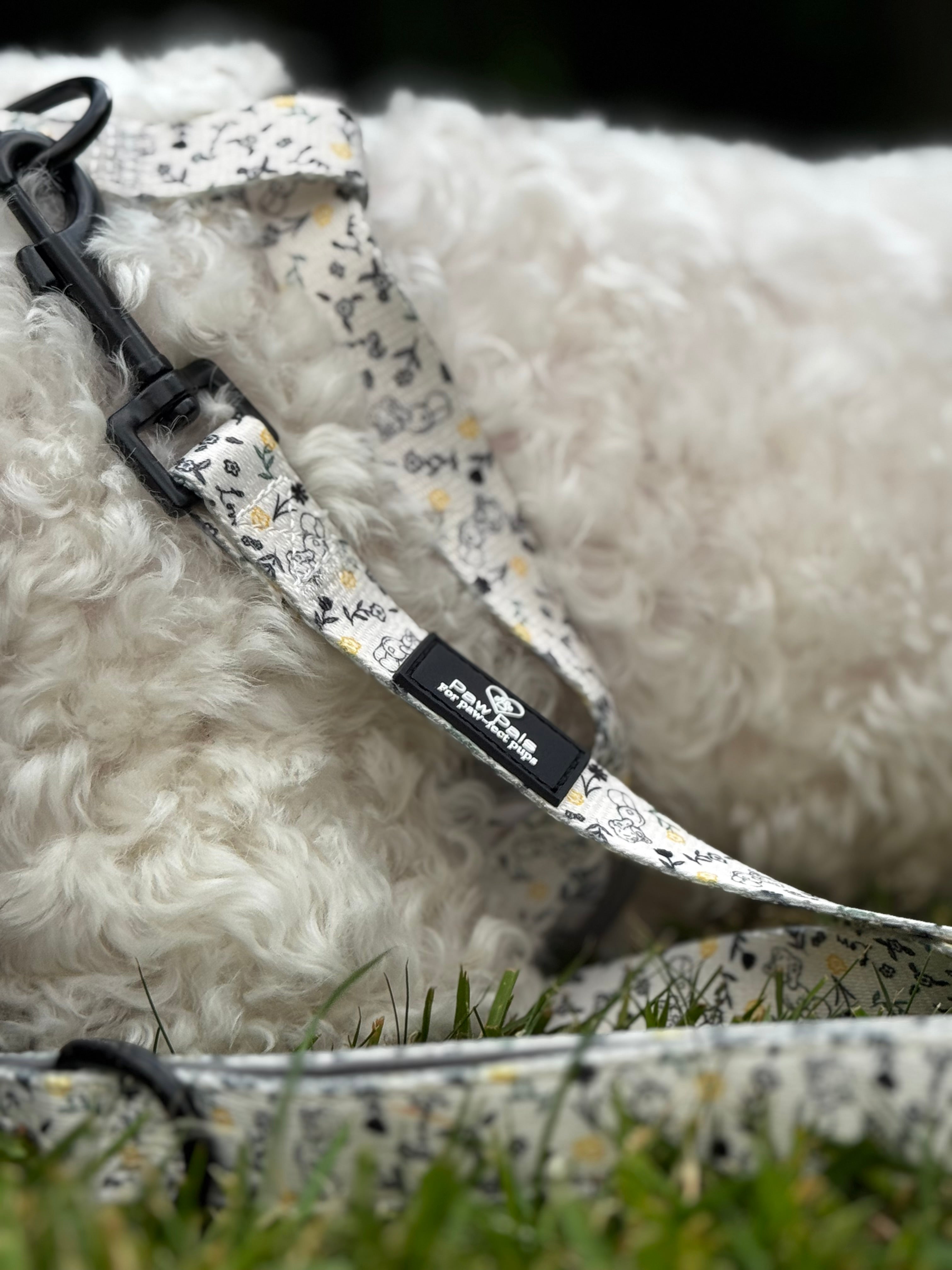 Tatty Teddy Springs Leash