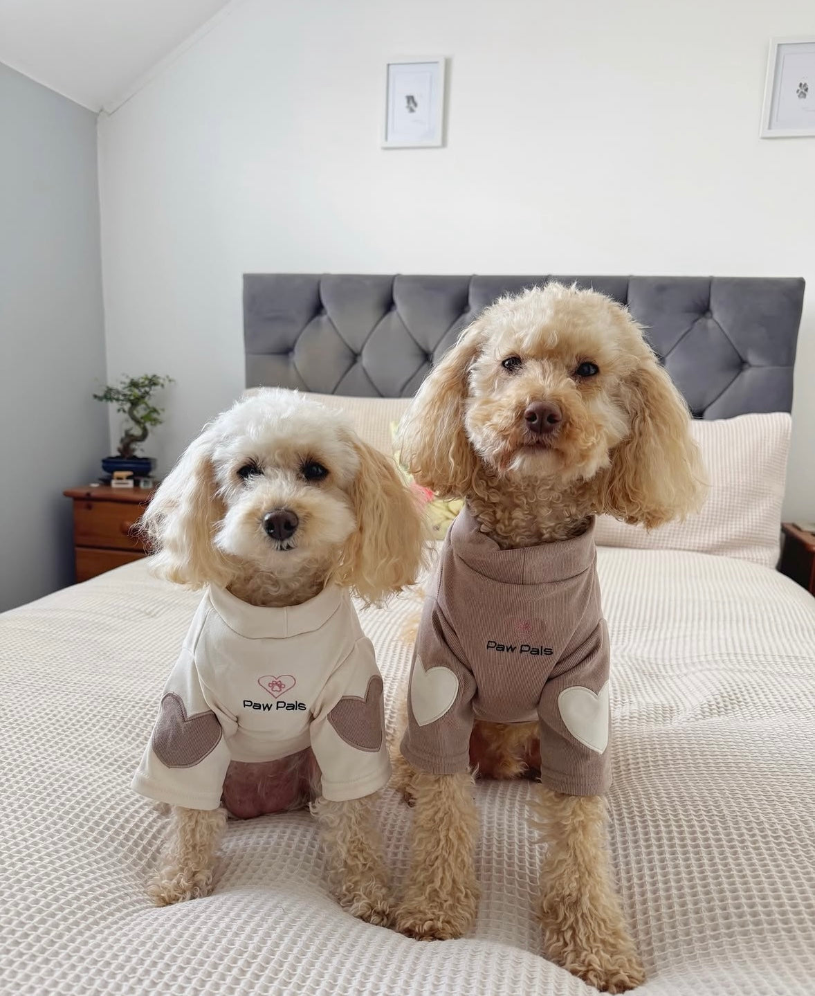 Puppy Love Cream Jumper