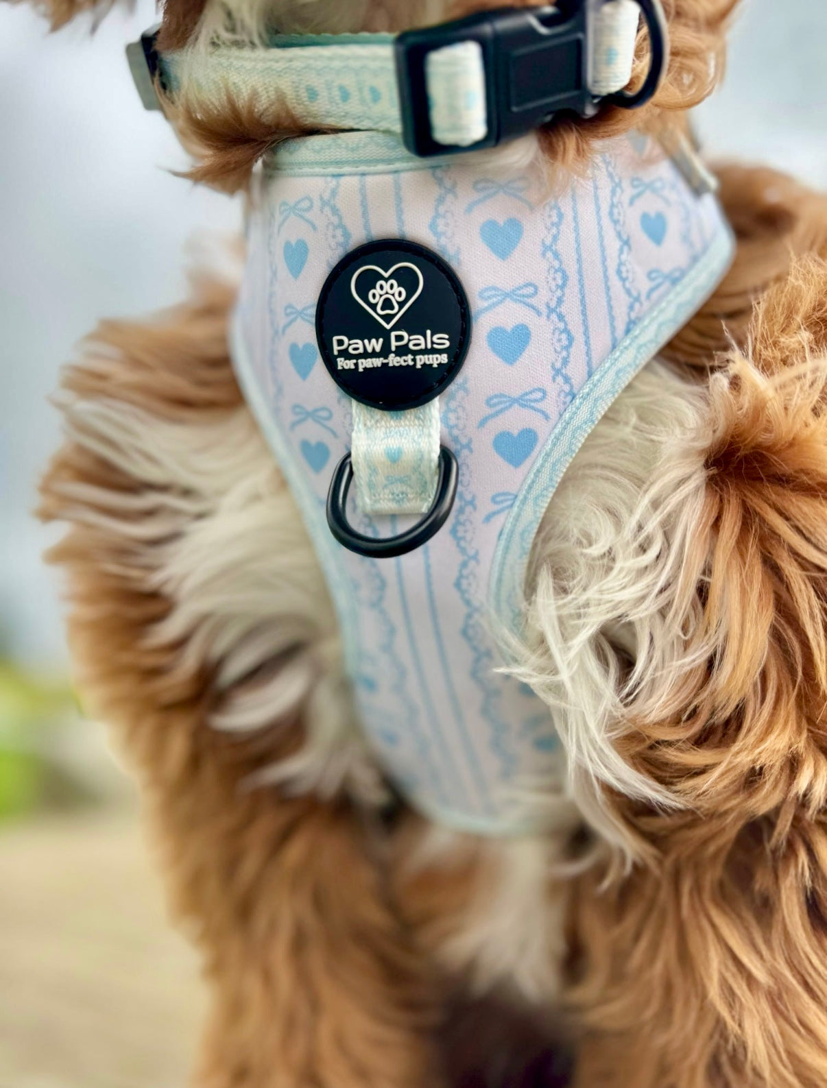 Bow In Love Harness