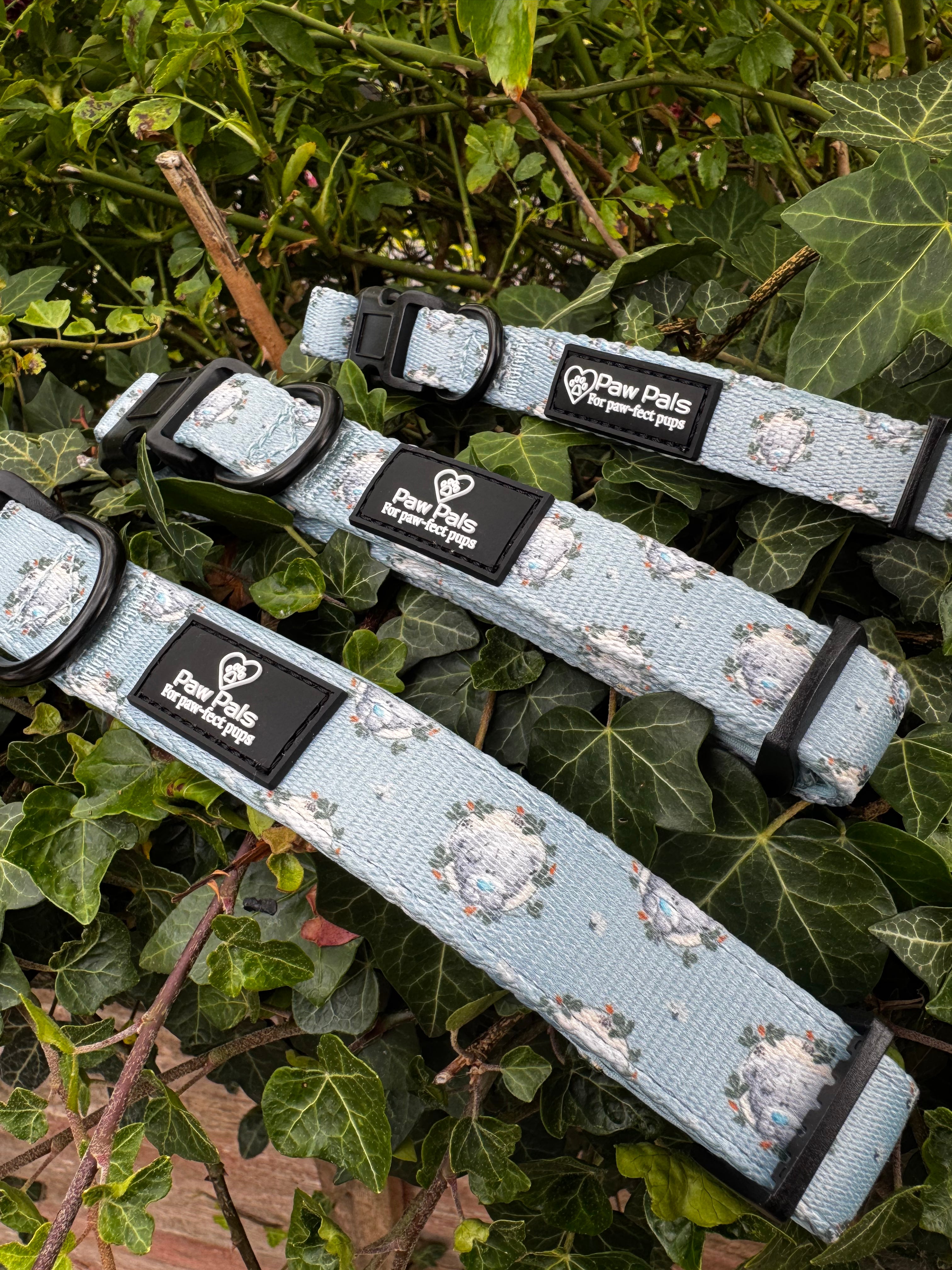 Tatty Teddy Gardens Collar
