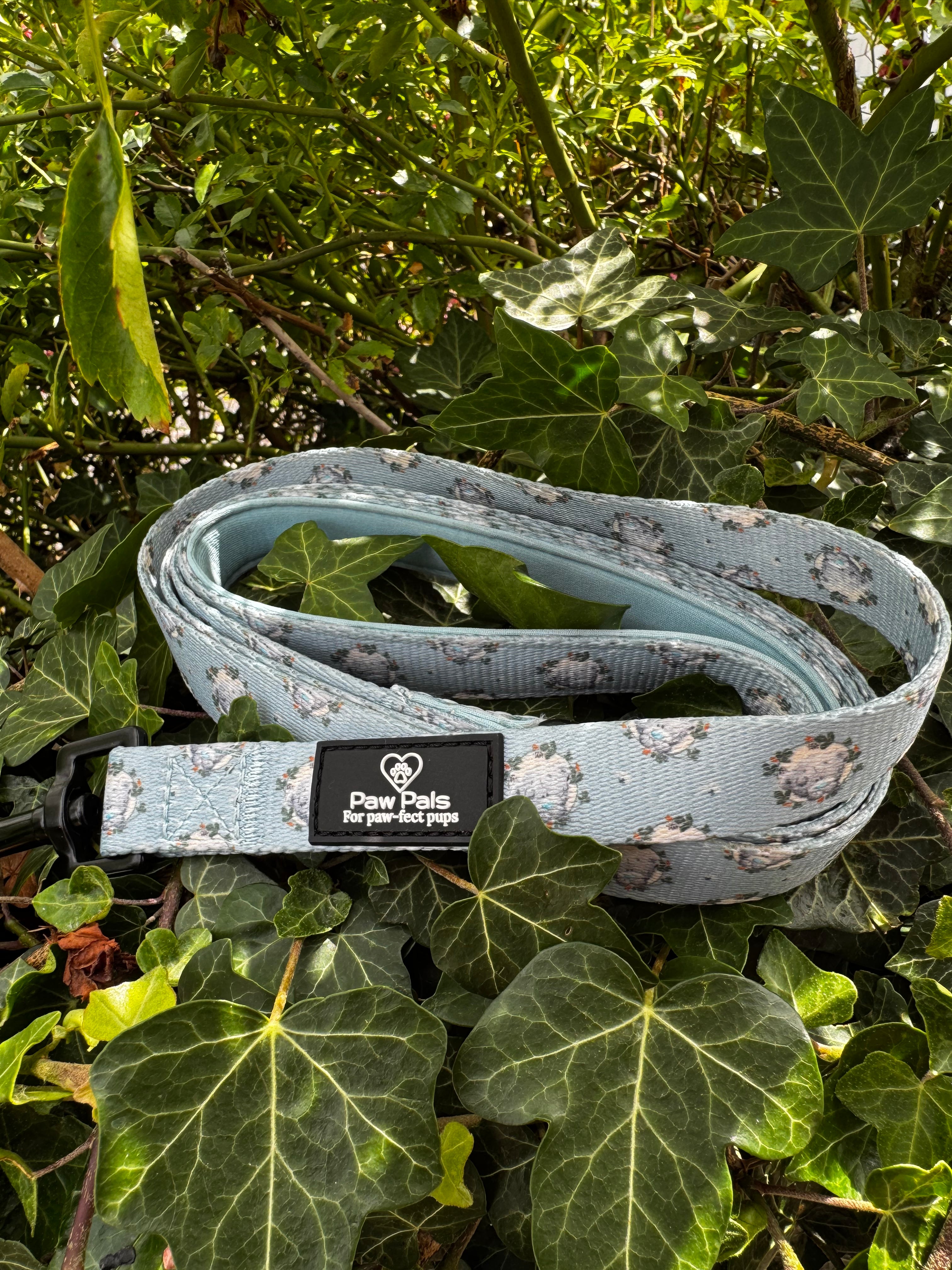 Tatty Teddy Gardens Leash